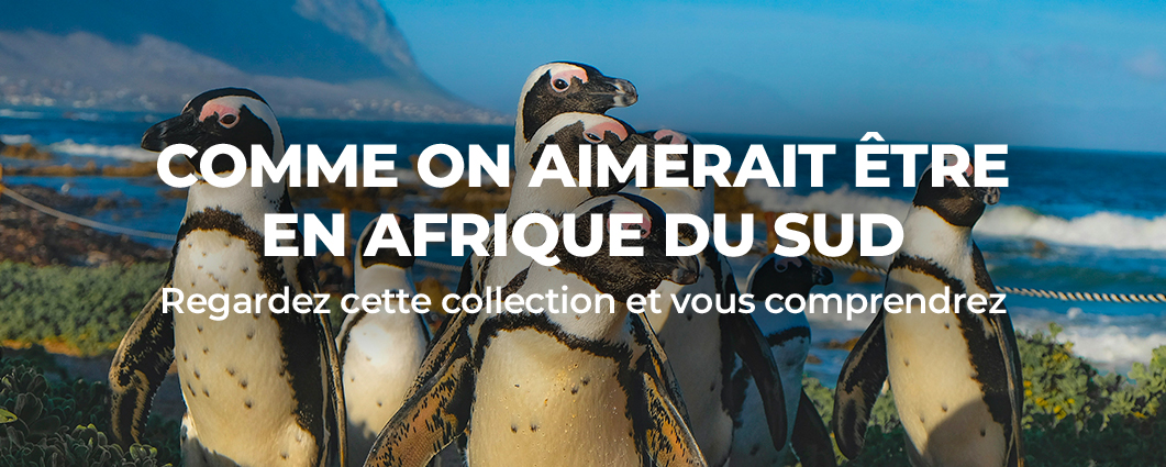 COMME ON AIMERAIT �TRE EN AFRIQUE DU SUD