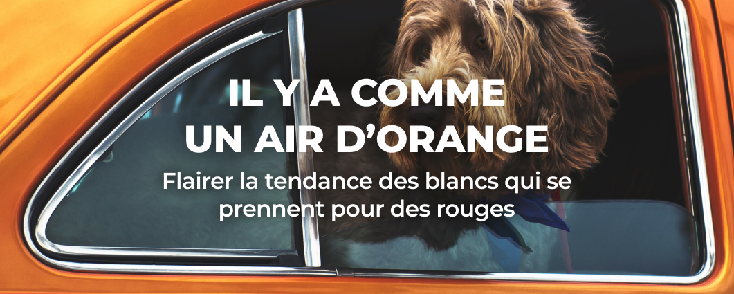 IL Y A COMME UN AIR D�ORANGE