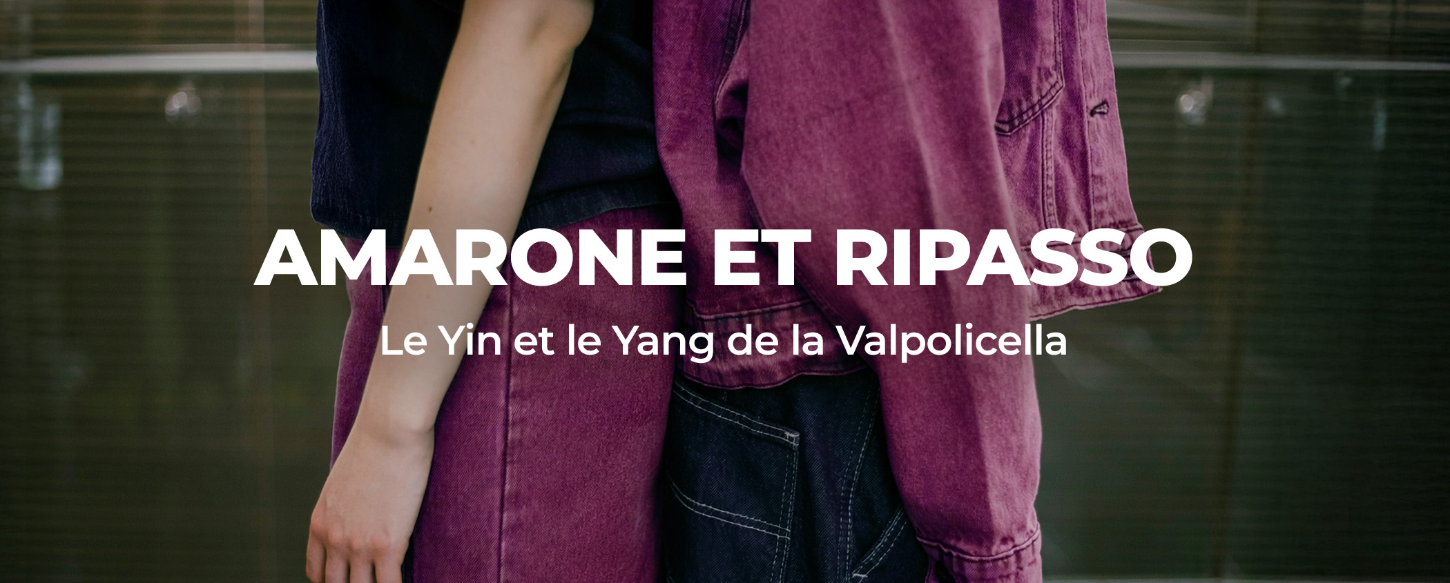 SAVOURE L��QUILIBRE PARFAIT