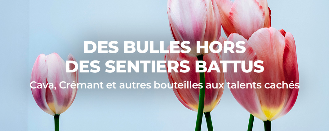 D�couvrez DES BULLES HORS DES SENTIERS BATTUS